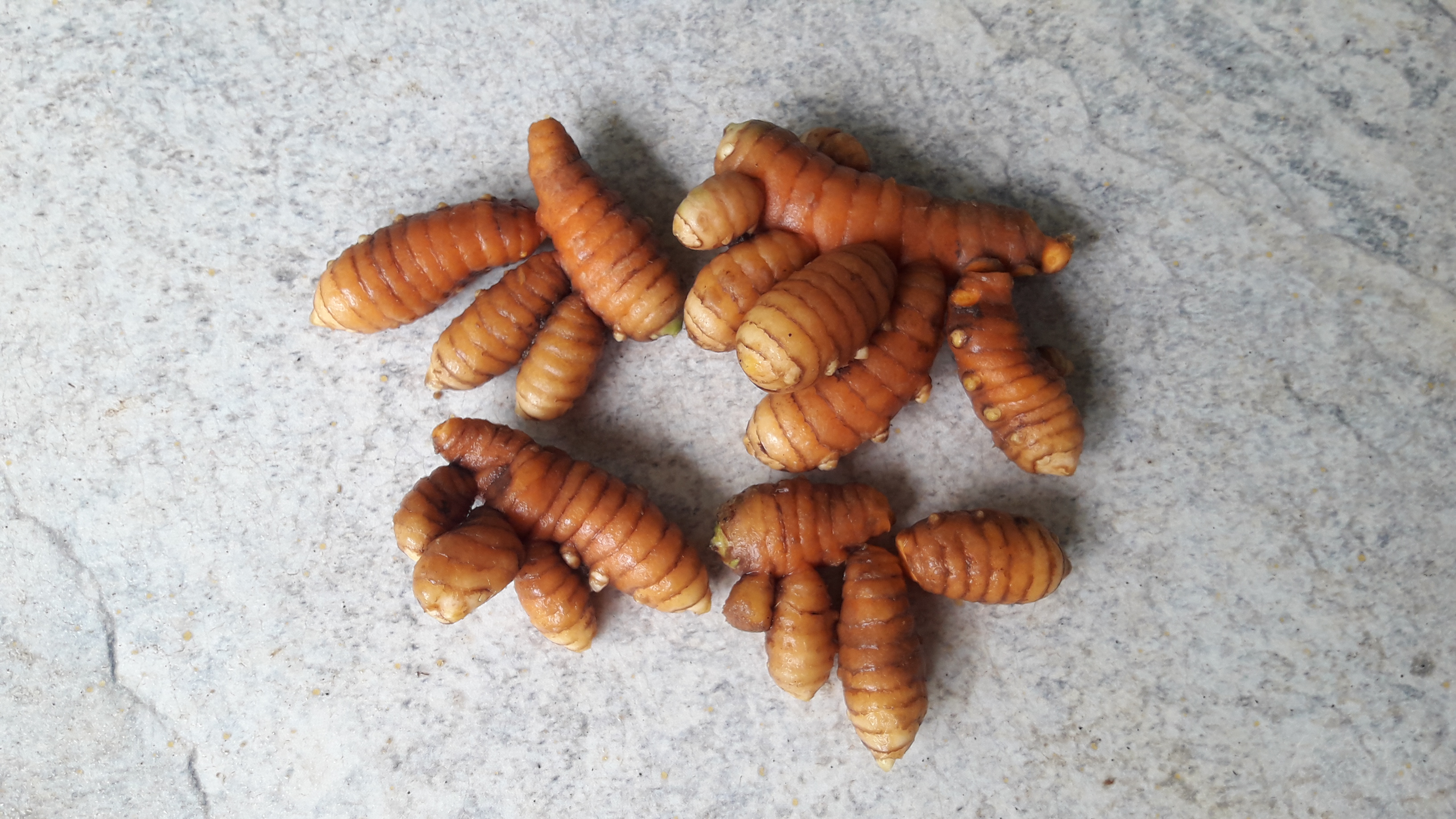 Curcuma